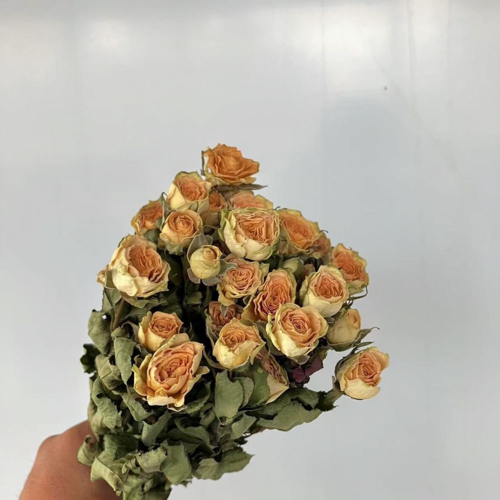 Real Preserved Roses Dried Flo - đánh giá và giá Resin Art With Rose