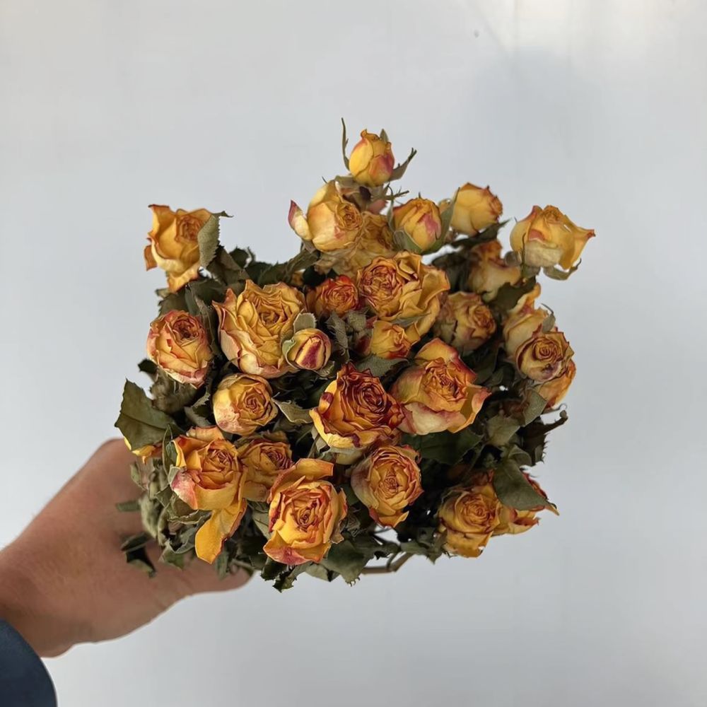 Real Preserved Roses Dried Flo - đánh giá và giá Resin Art With Rose
